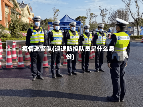 疫情巡警队(巡逻防控队员是什么身份)