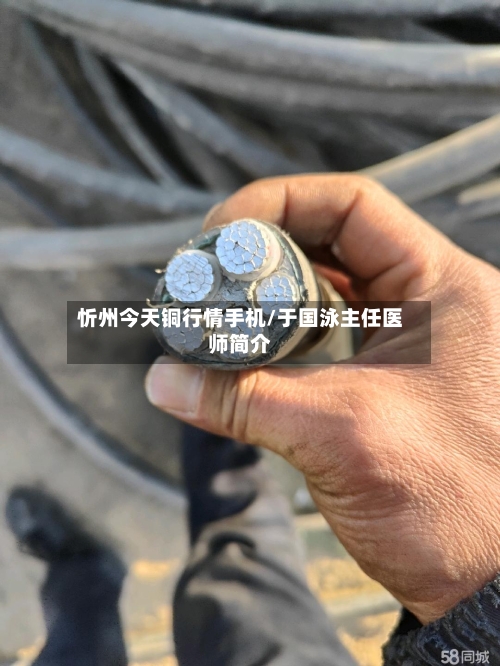 忻州今天铜行情手机/于国泳主任医师简介