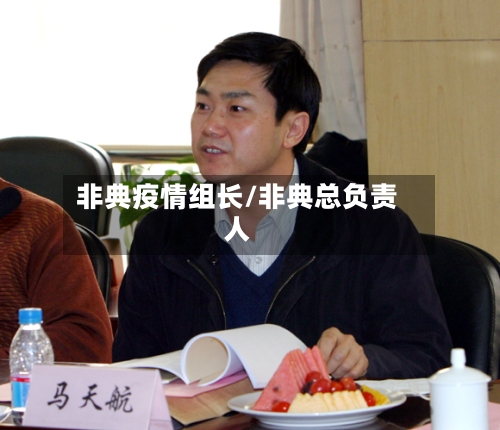 非典疫情组长/非典总负责人-第3张图片
