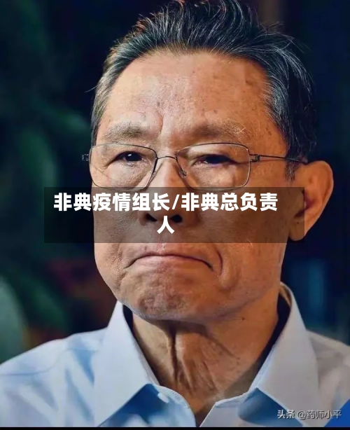 非典疫情组长/非典总负责人