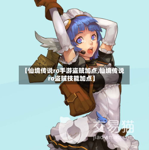 【仙境传说ro手游盗贼加点,仙境传说ro盗贼技能加点】