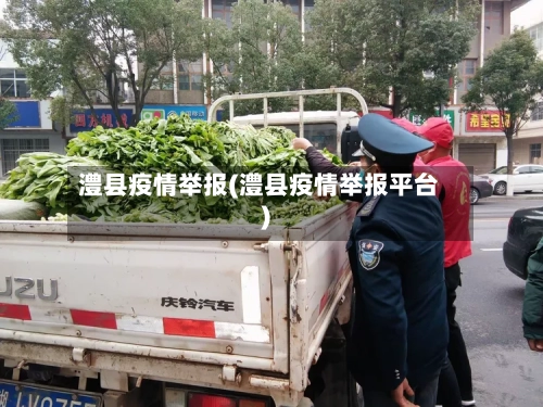 澧县疫情举报(澧县疫情举报平台)-第2张图片