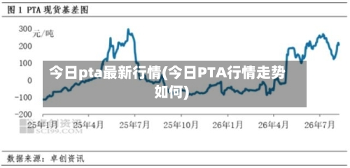 今日pta最新行情(今日PTA行情走势如何)-第2张图片