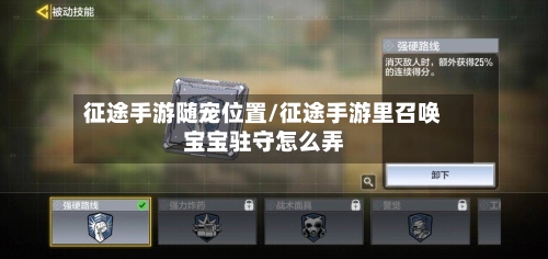 征途手游随宠位置/征途手游里召唤宝宝驻守怎么弄-第2张图片