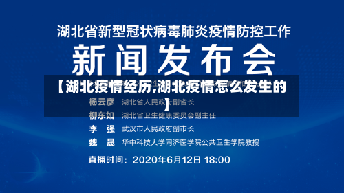 【湖北疫情经历,湖北疫情怎么发生的】