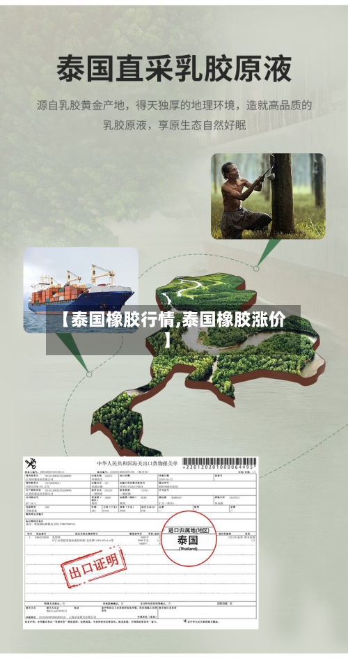 【泰国橡胶行情,泰国橡胶涨价】