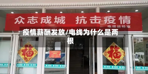 疫情薪酬发放/电线为什么是两根-第3张图片
