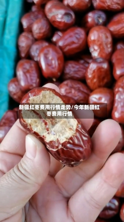新疆红枣费用行情走势/今年新疆红枣费用行情