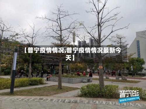 【普宁疫情情况,普宁疫情情况最新今天】-第2张图片