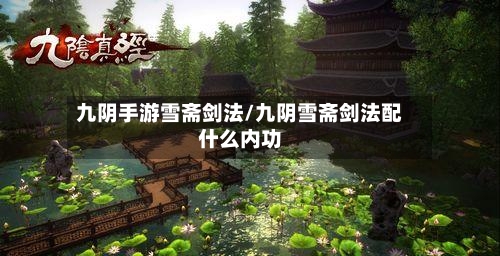 九阴手游雪斋剑法/九阴雪斋剑法配什么内功