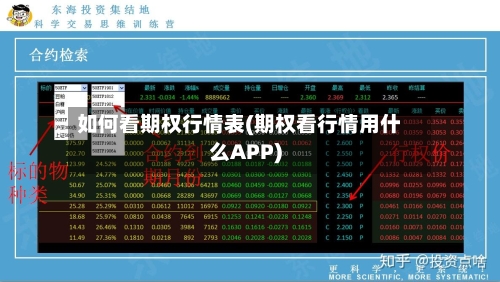 如何看期权行情表(期权看行情用什么APP)
