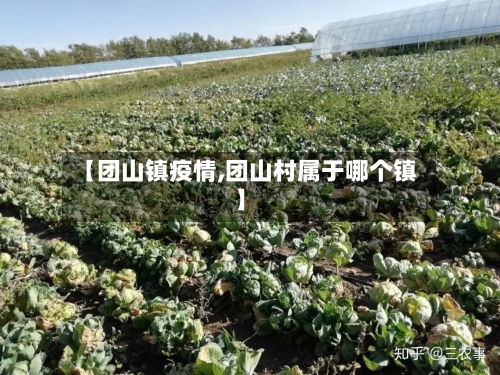 【团山镇疫情,团山村属于哪个镇】