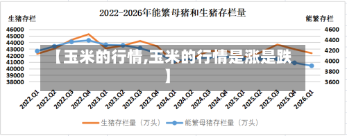 【玉米的行情,玉米的行情是涨是跌】