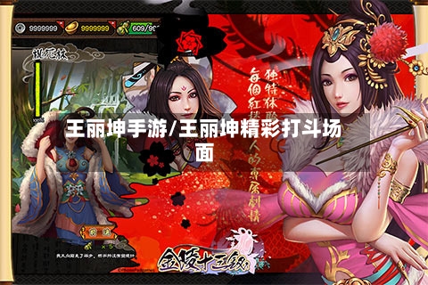 王丽坤手游/王丽坤精彩打斗场面