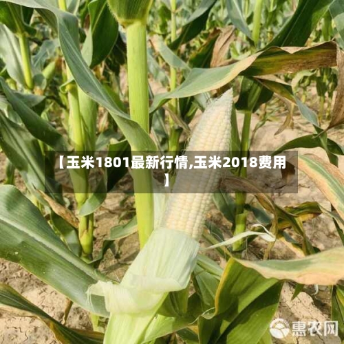 【玉米1801最新行情,玉米2018费用】-第2张图片