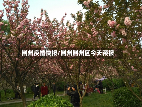 荆州疫情快报/荆州荆州区今天预报