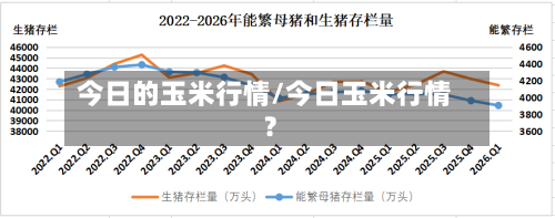 今日的玉米行情/今日玉米行情?-第2张图片
