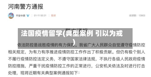 法国疫情留学(典型案例 引以为戒)-第2张图片