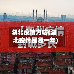 湖北疫情为啥(湖北疫情是哪一年)-第2张图片