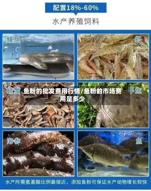 鱼粉的批发费用行情/鱼粉的市场费用是多少-第2张图片