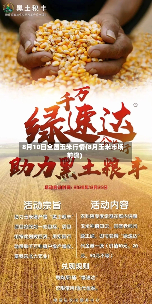 8月10日全国玉米行情(8月玉米市场前瞻)