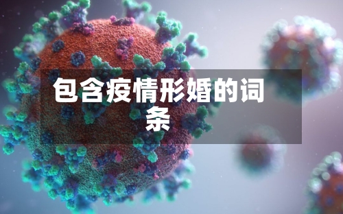 包含疫情形婚的词条