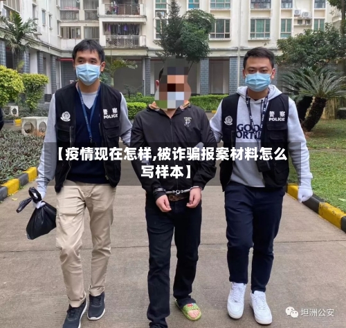 【疫情现在怎样,被诈骗报案材料怎么写样本】-第3张图片