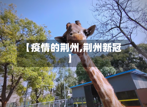 【疫情的荆州,荆州新冠】-第3张图片