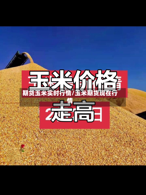 期货玉米实时行情/玉米期货现在行情-第2张图片
