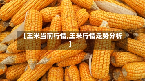 【王米当前行情,王米行情走势分析】