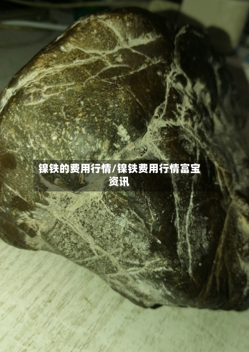 镍铁的费用行情/镍铁费用行情富宝资讯-第3张图片