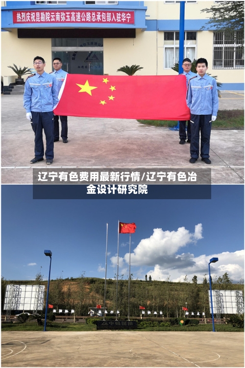 辽宁有色费用最新行情/辽宁有色冶金设计研究院