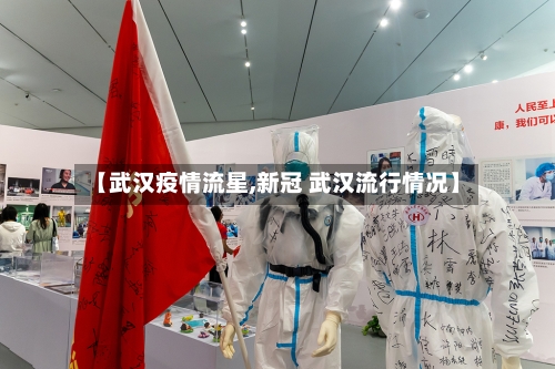 【武汉疫情流星,新冠 武汉流行情况】-第2张图片