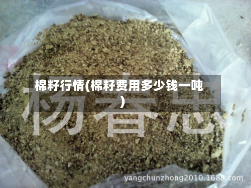 棉籽行情(棉籽费用多少钱一吨)