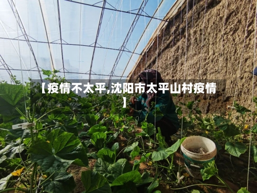 【疫情不太平,沈阳市太平山村疫情】-第3张图片