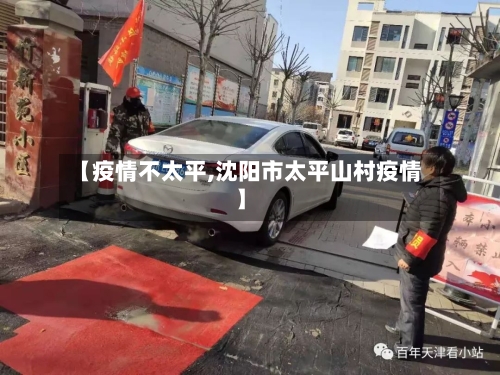 【疫情不太平,沈阳市太平山村疫情】-第2张图片
