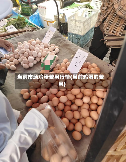 当前市场鸡蛋费用行情(当前鸡蛋的费用)-第3张图片