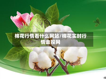 棉花行情看什么网站/棉花实时行情金投网