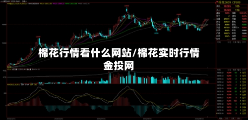 棉花行情看什么网站/棉花实时行情金投网-第2张图片