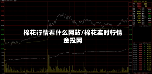 棉花行情看什么网站/棉花实时行情金投网-第3张图片