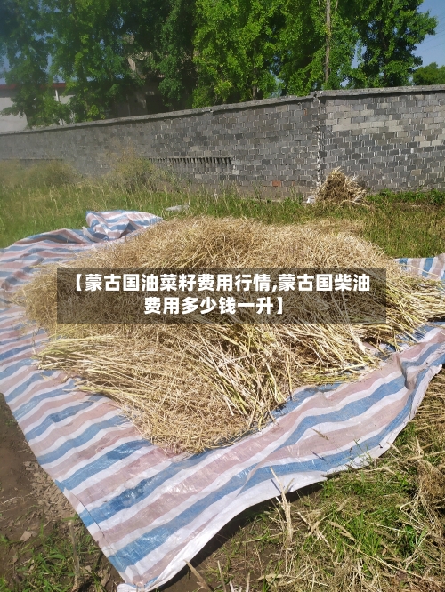 【蒙古国油菜籽费用行情,蒙古国柴油费用多少钱一升】