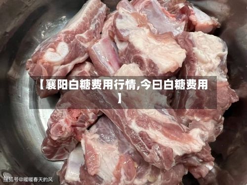 【襄阳白糖费用行情,今曰白糖费用】