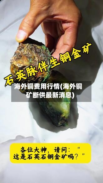 海外铜费用行情(海外铜矿断供最新消息)-第2张图片