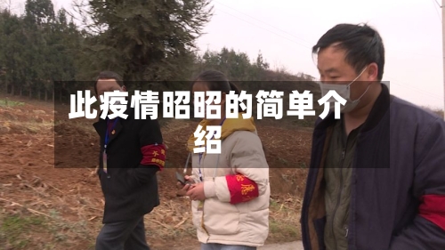 此疫情昭昭的简单介绍