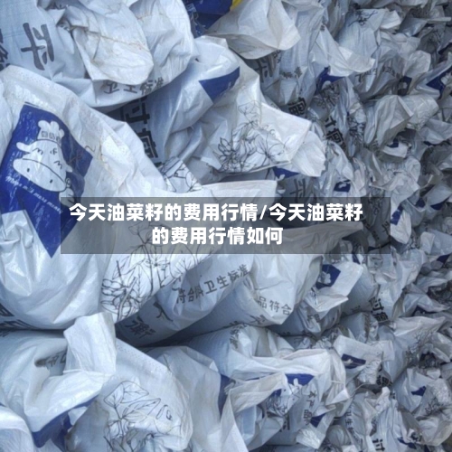 今天油菜籽的费用行情/今天油菜籽的费用行情如何-第2张图片