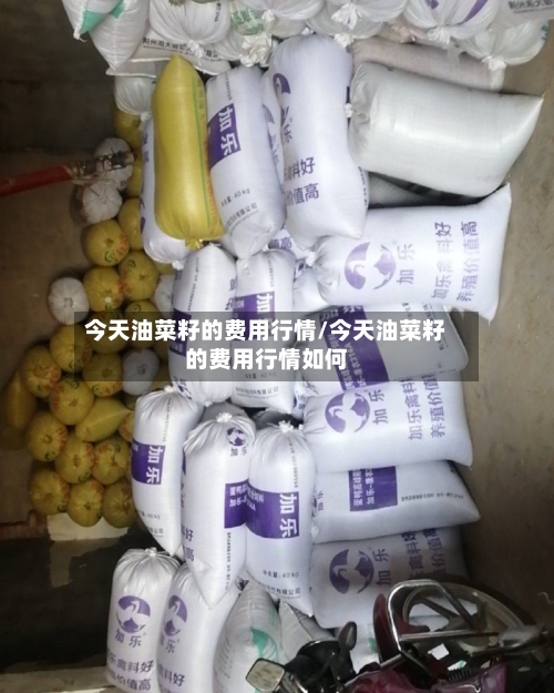 今天油菜籽的费用行情/今天油菜籽的费用行情如何