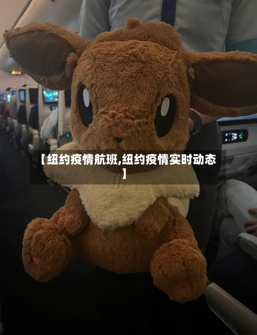 【纽约疫情航班,纽约疫情实时动态】