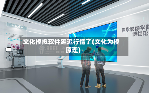 文化模拟软件延迟行情了(文化为模原理)
