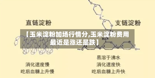 【玉米淀粉加场行情分,玉米淀粉费用最近是涨还是跌】-第2张图片