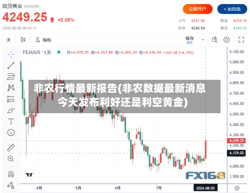 非农行情最新报告(非农数据最新消息今天发布利好还是利空黄金)-第2张图片